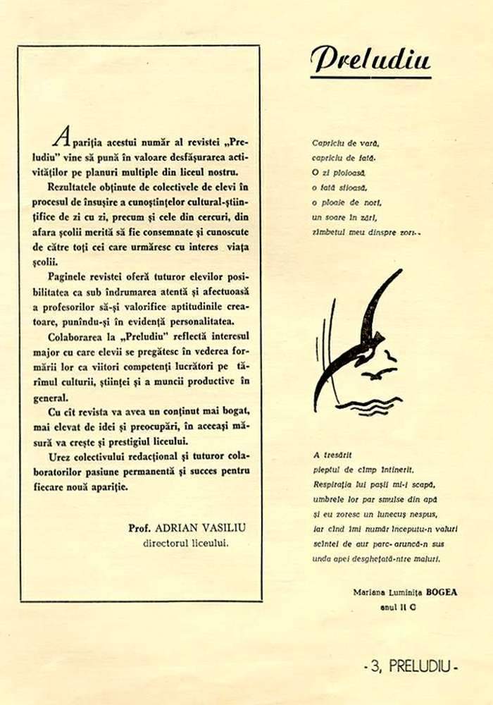 pre3.jpg (79720 bytes)